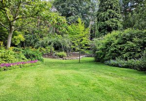 Optimiser l'expérience du jardin à Peigney
